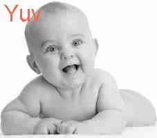 baby Yuv